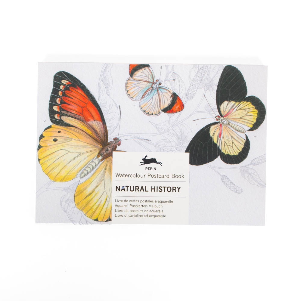 Pepin Artists, Post Card, Art & School, Coloring, Natural History, 1016975